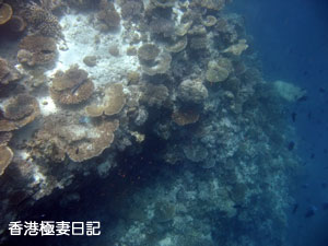 f0190653_9113298.jpg