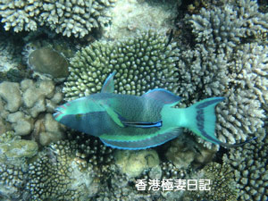 f0190653_9121668.jpg
