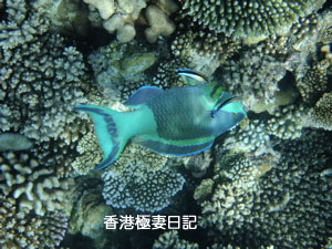 f0190653_9122630.jpg
