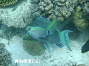 f0190653_9123875.jpg