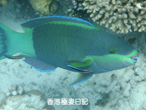 f0190653_9124862.jpg
