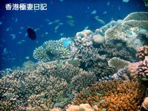 f0190653_9125963.jpg