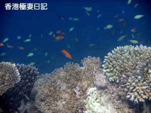 f0190653_9131032.jpg