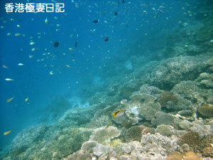 f0190653_9132031.jpg