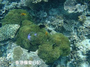 f0190653_9142094.jpg