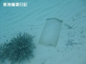 f0190653_9145956.jpg