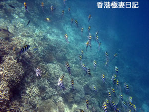f0190653_964216.jpg