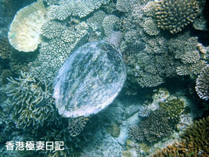 f0190653_971079.jpg