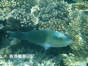 f0190653_973356.jpg
