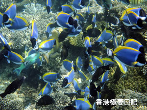 f0190653_98987.jpg