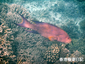 f0190653_99843.jpg