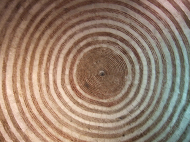 e0104154_325531.jpg