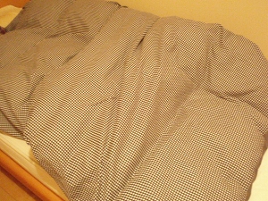 c0135363_20464597.jpg