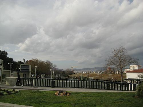 f0037264_1071791.jpg