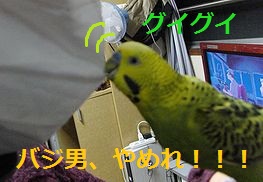 f0196665_02456.jpg