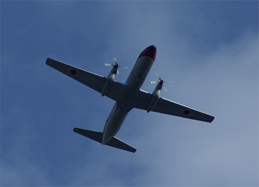 c0122266_122345.jpg