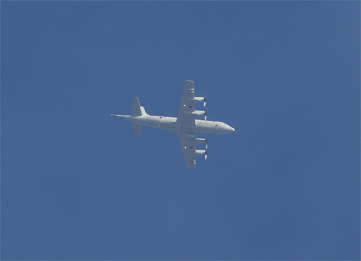 c0122266_1245918.jpg