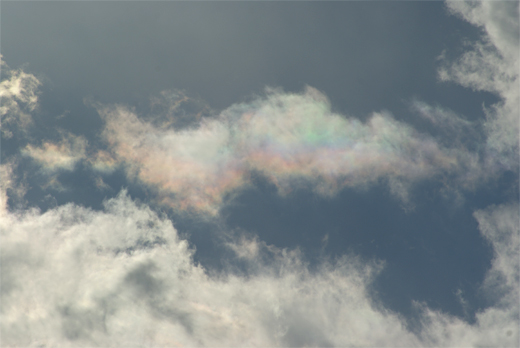 c0122266_169056.jpg