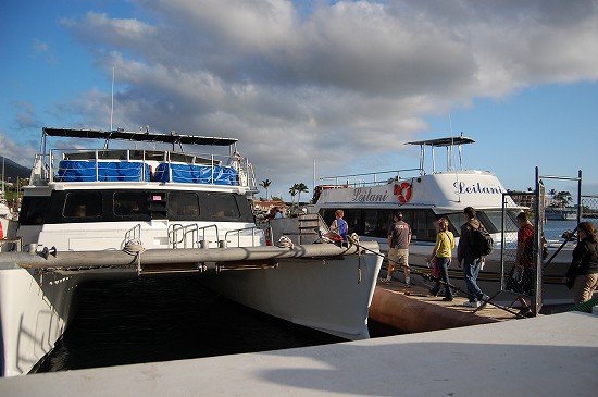 e0128367_3563889.jpg