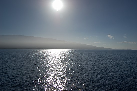 e0128367_3593165.jpg