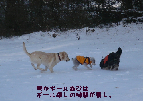 f0203369_223608.jpg