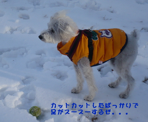f0203369_22361490.jpg