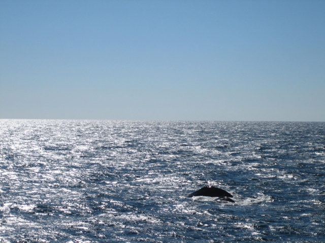 f0016771_3193965.jpg