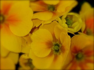b0039373_10144911.jpg