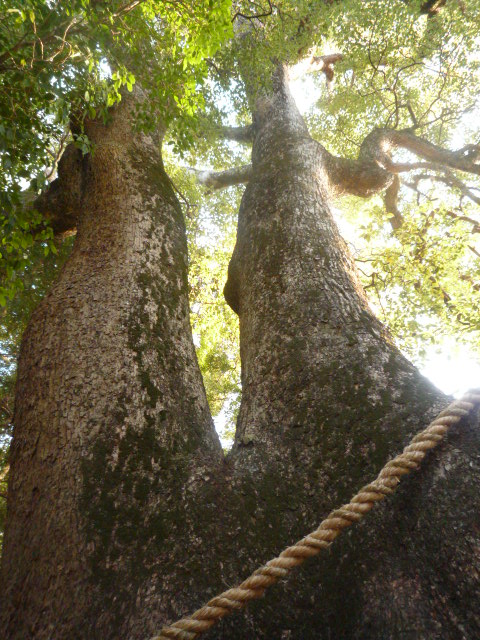 c0160778_1972690.jpg