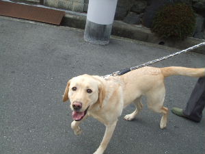f0005081_15431735.jpg