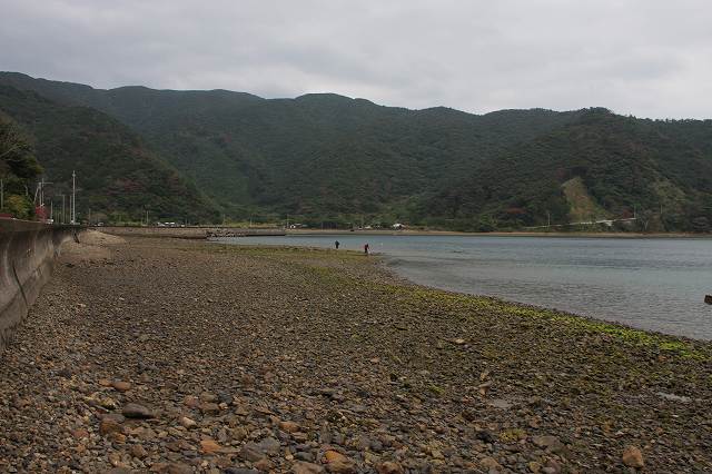b0115085_13472189.jpg