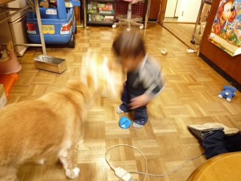 e0123286_1851751.jpg