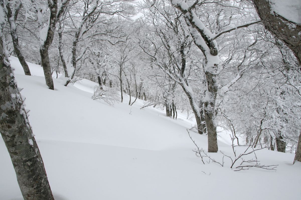 f0087787_21375450.jpg