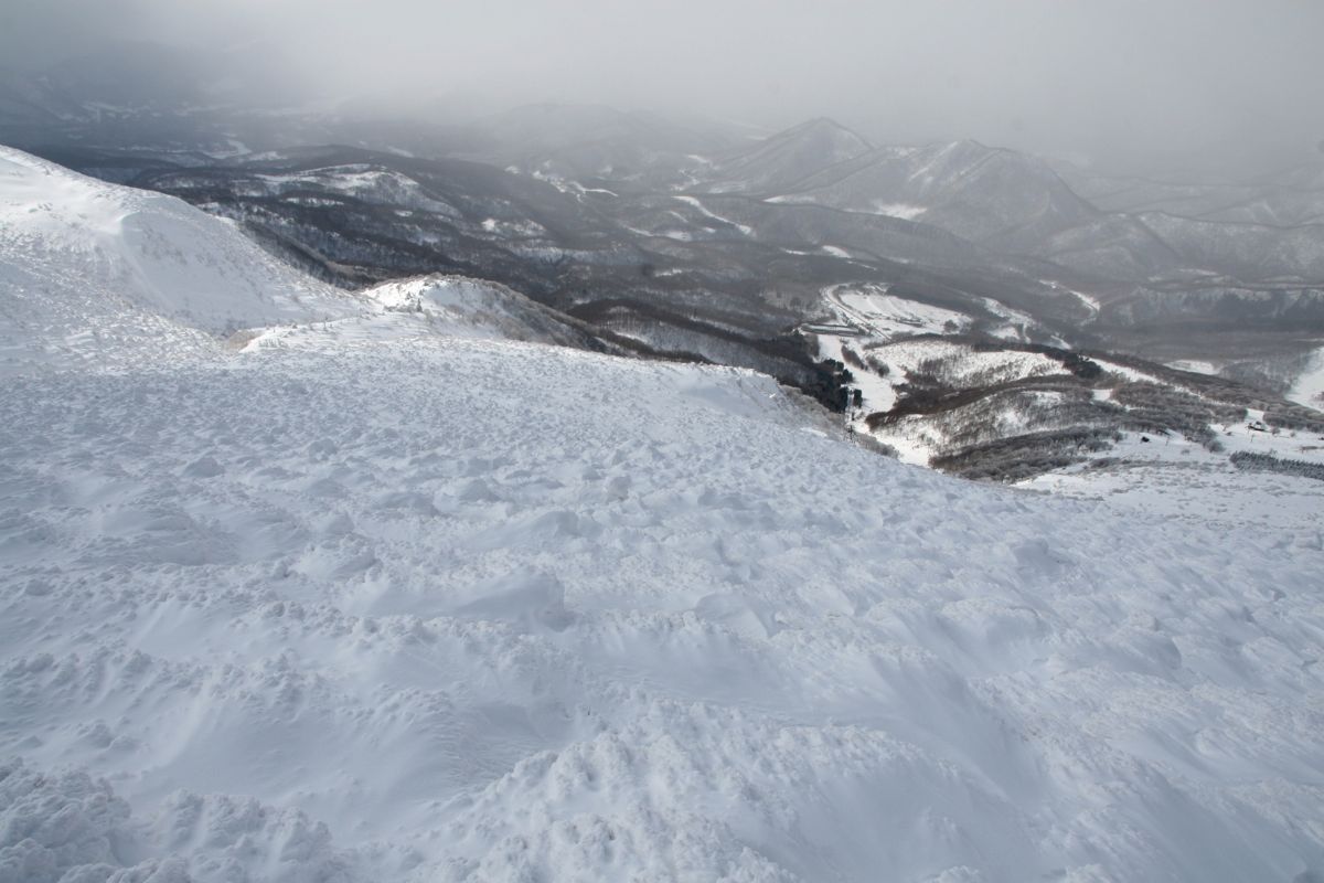 f0087787_213768.jpg