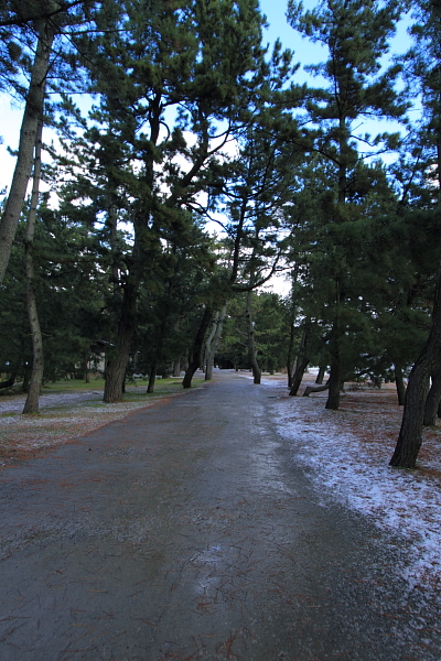 e0051888_23112236.jpg