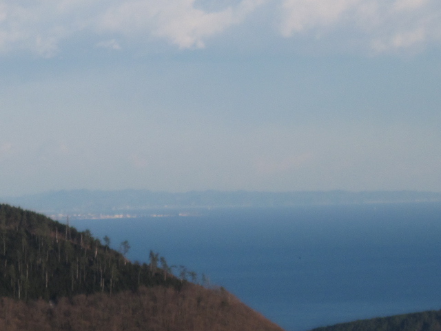e0126094_2022066.jpg