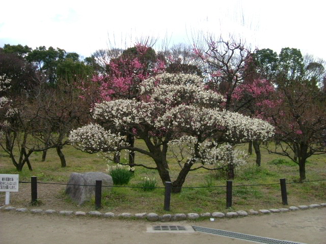 b0044296_19441827.jpg