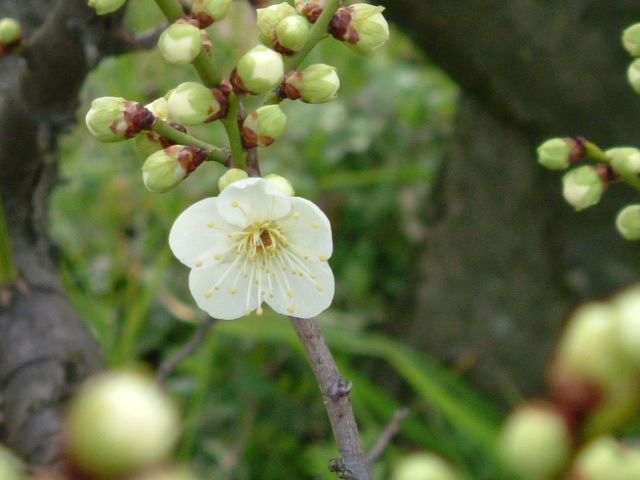 b0044296_19465225.jpg