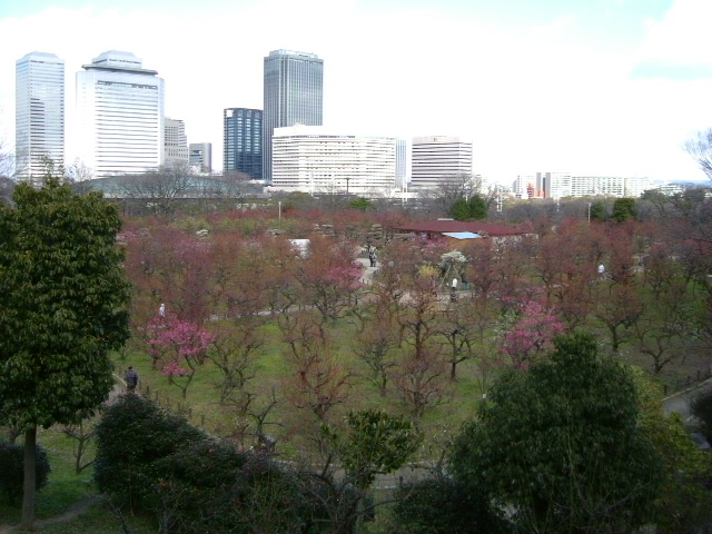 b0044296_19483147.jpg