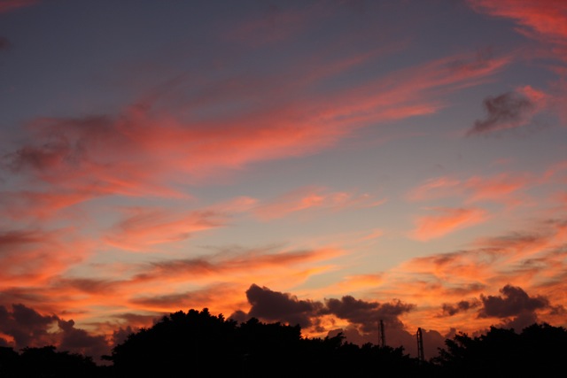 c0193396_1615336.jpg