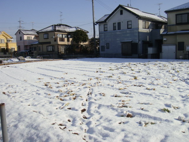 e0155496_16374413.jpg