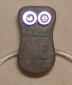 b0098997_231993.jpg