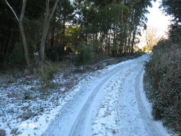 a0117599_943541.jpg