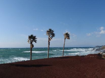 e0077899_87156.jpg