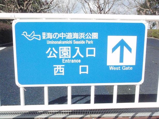 e0006700_1462062.jpg