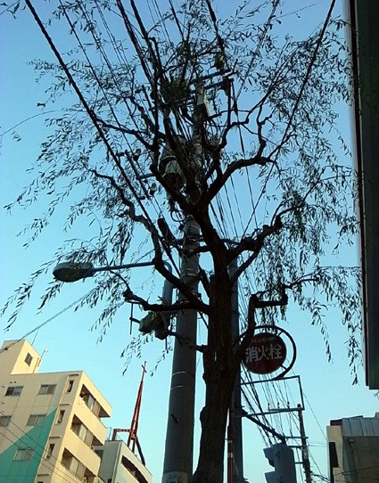 e0043700_21361516.jpg