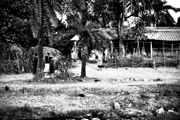 f0178900_19551959.jpg