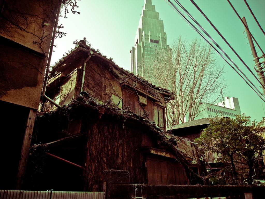 c0072801_13232441.jpg
