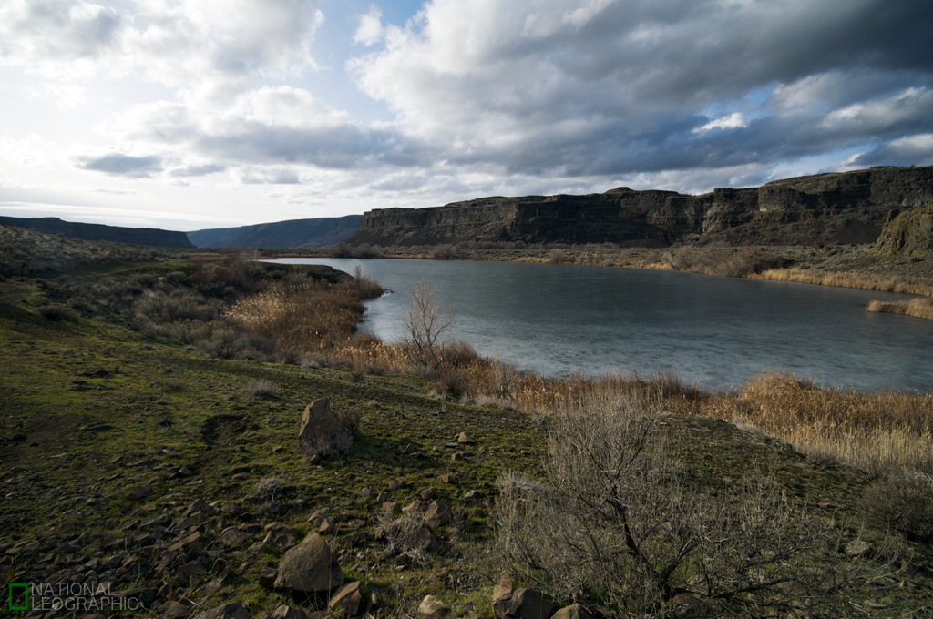 c0080101_15434919.jpg