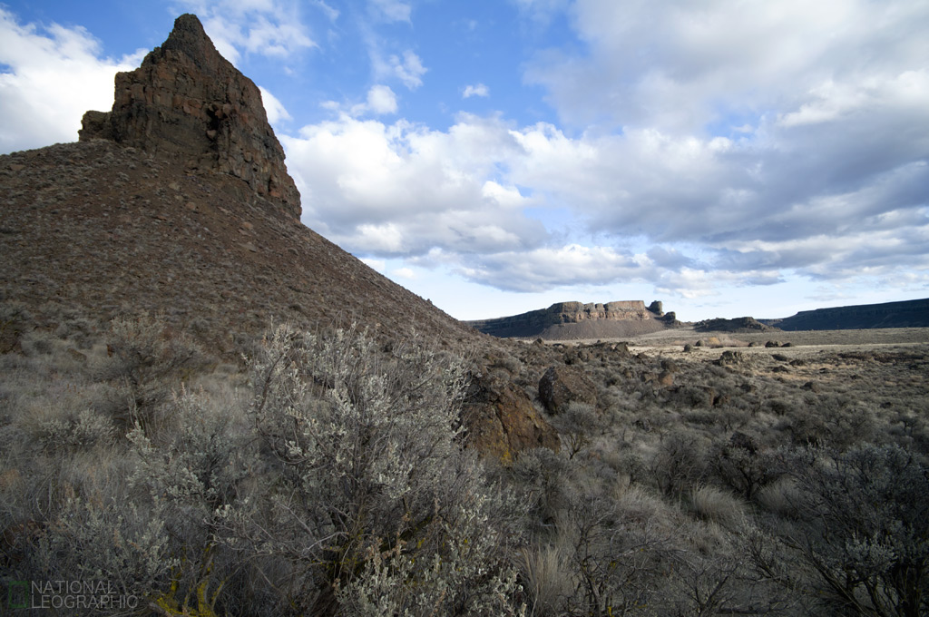 c0080101_1633548.jpg